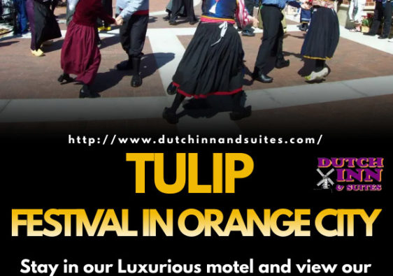 Orange City Tulip Festival 2022