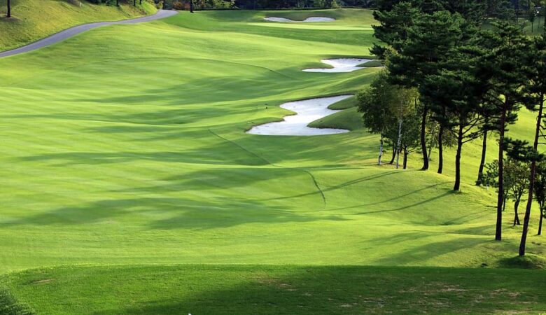 golf-green-field-grass